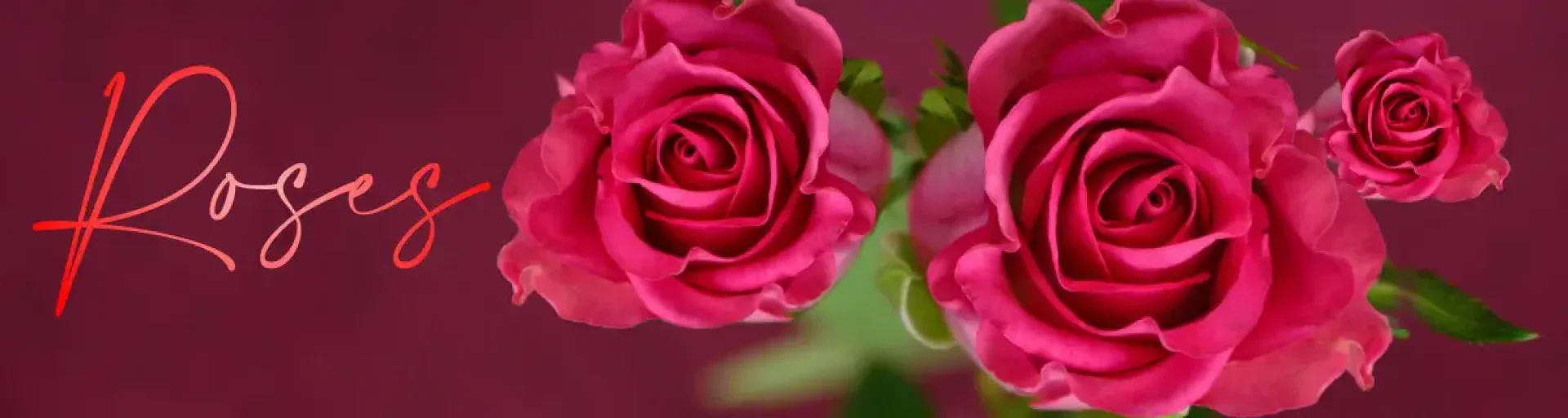 04675a9d-e277-47f2-876d-3dbfd1573de0