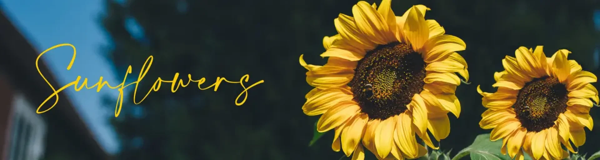 3b988d92-8db5-4960-aeb5-23e925f96acb