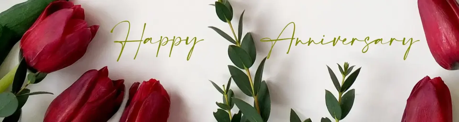 4835b533-68f6-4210-8fe1-8038b0453091