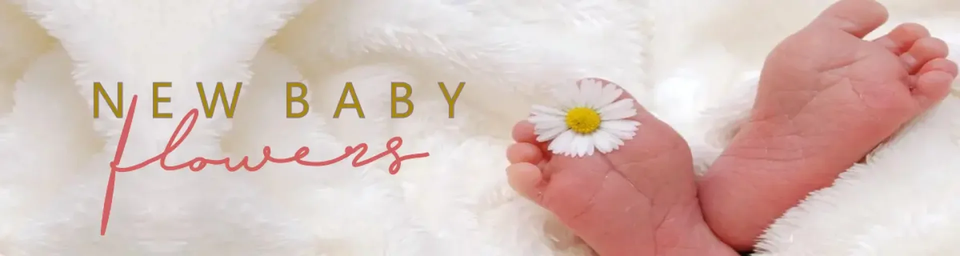 5d09e42b-4c50-4f87-85ce-c9bbcb44974d