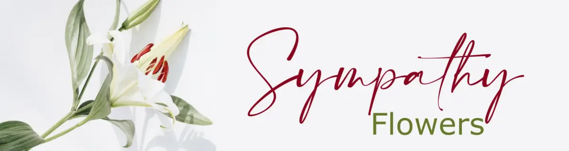 69ec788d-be27-4ddd-85a3-c0a54b225123