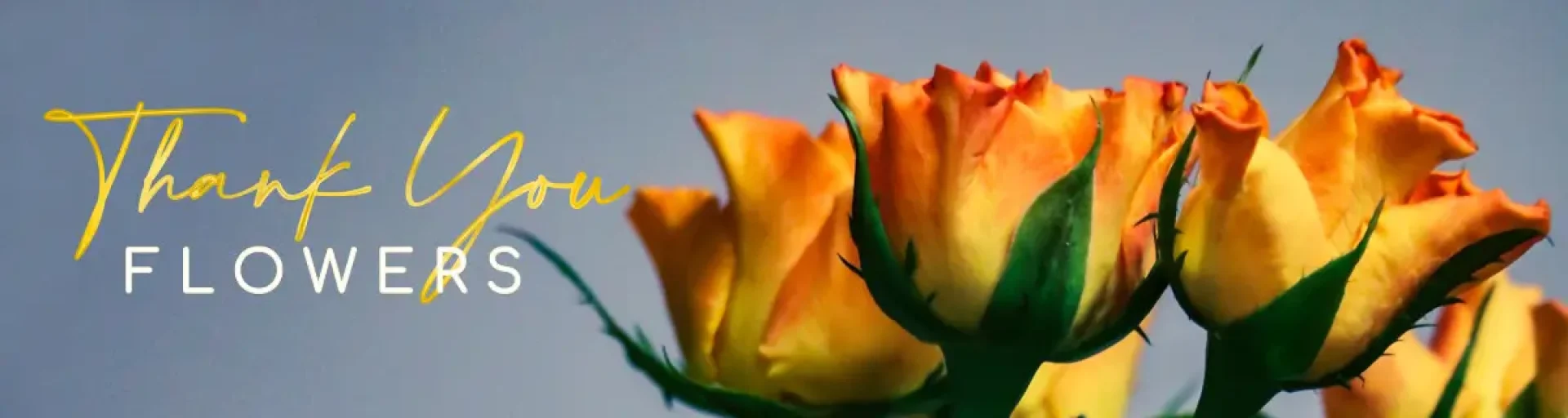 83387a6c-ae0d-407e-b947-6cb7cc5748dd