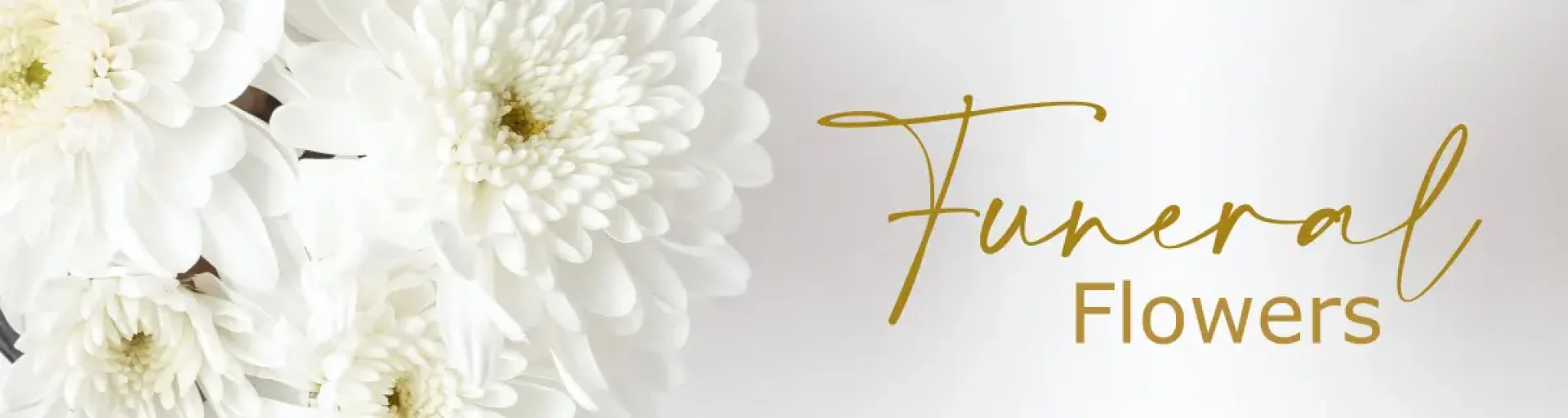 8e633ec2-7274-4b4a-a0a5-ff05856da6a9