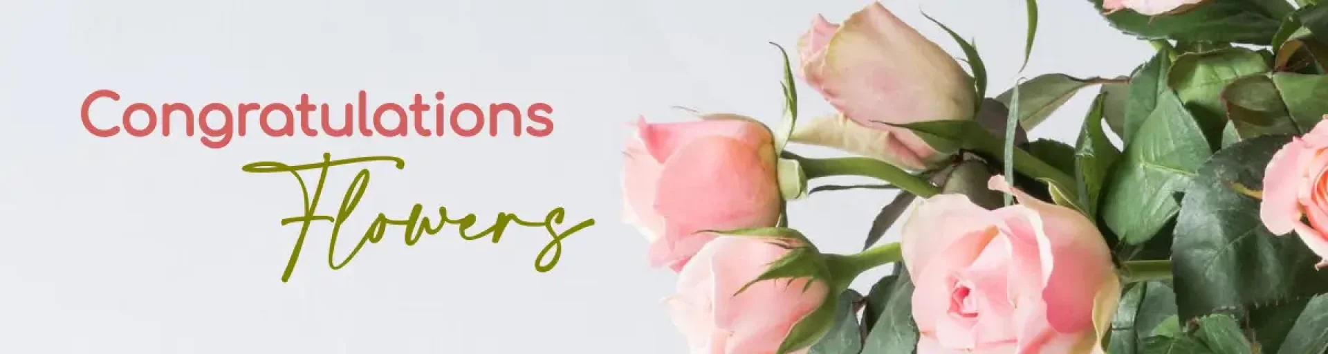 943d5eeb-4b54-49fb-bb70-54bab0e260d9