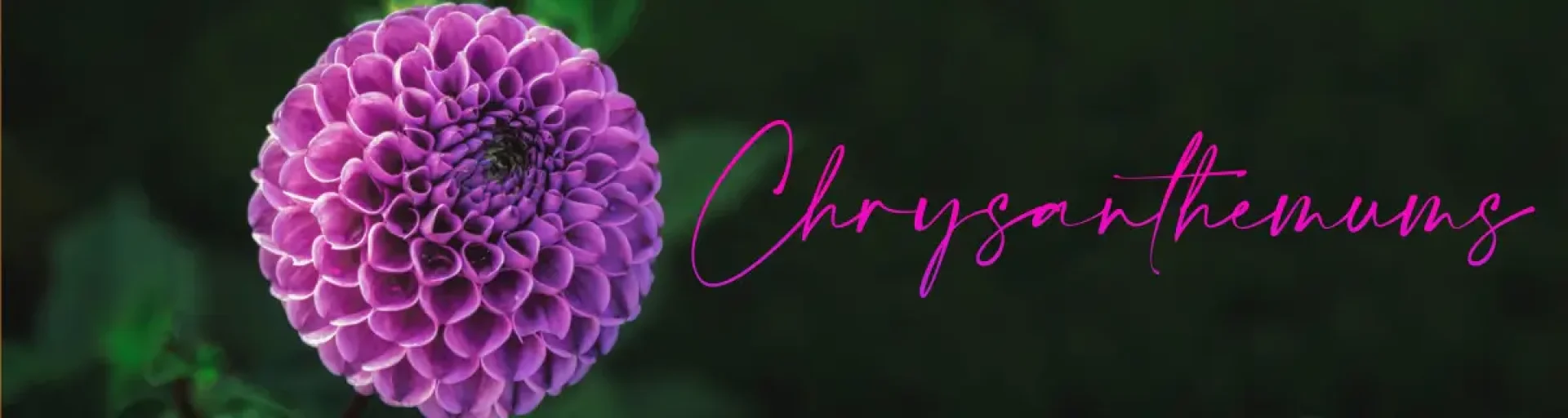 9b498488-06f4-43e5-ad30-3499362c6568