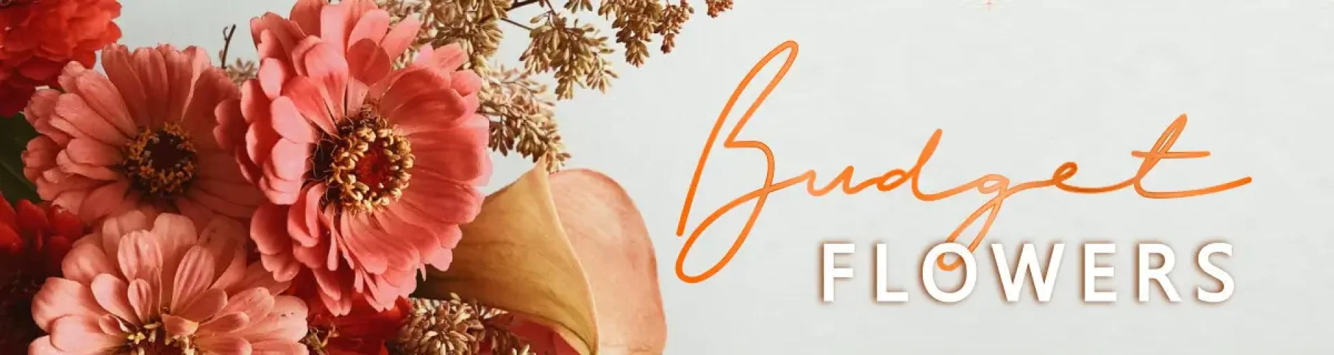 c5e380f2-f68b-491b-a567-7e8dd3fef518