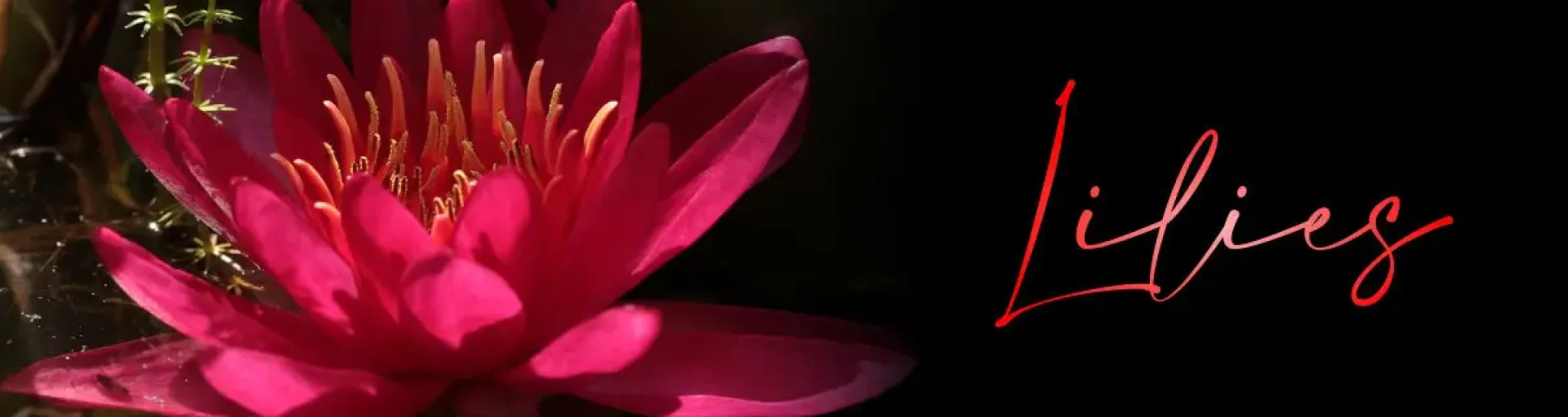 caf35d24-f26f-46b8-b698-6d0b8793ca93