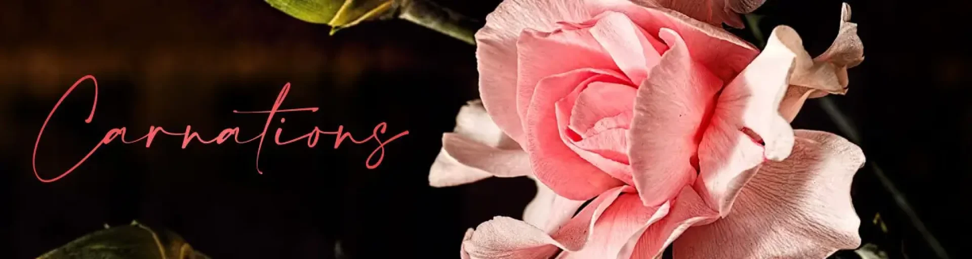 cdd5cc98-19d3-4bb4-91a2-c2ef01cc89ed