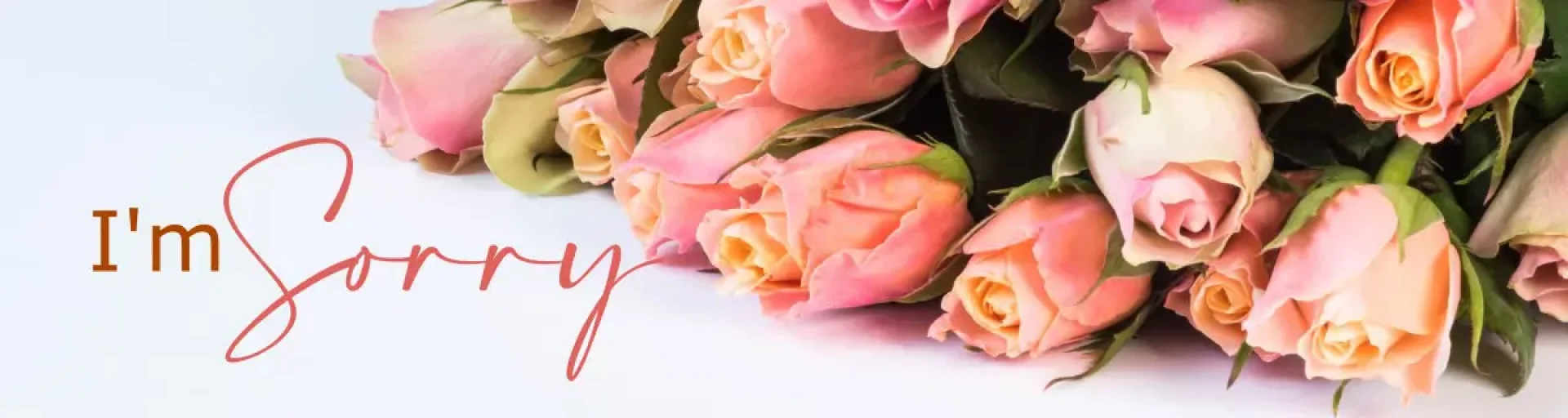 d9826f65-9ec5-4168-adde-efd65699e2d0