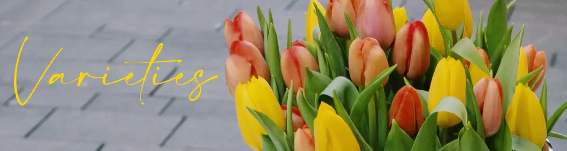 ede7243b-2456-4df7-98fa-ab3f2b70016a